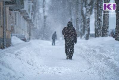 Сыктывкарские волонтеры "Лиза Алерт" вышли в морозы в ночной патруль