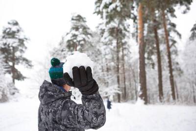 Температура в Ленобласти опустится до -30 градусов 22 декабря