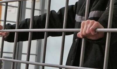 Сторонника ИГ* в Ставропольском крае приговорили к 11 годам лишения свободы