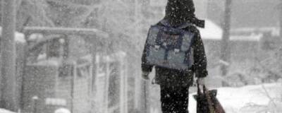 Нижегородский минобр рекомендовал родителям не отправлять детей в школу в мороз