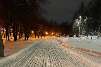 Все на лыжи: в парке Петрозаводска появилась лыжня
