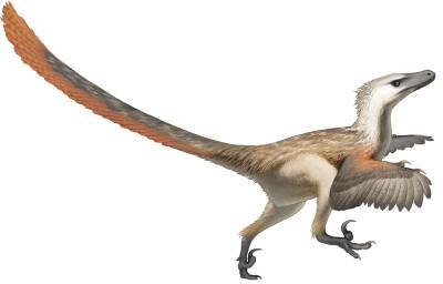 Учёные открыли птицеподобного динозавра-хищника с огромными когтями