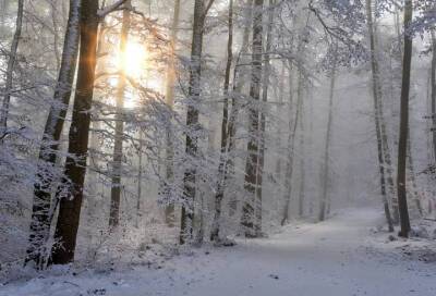 Самый короткий день в году: какими традициями отметилось зимнее солнцестояние у славян