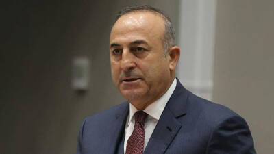 Анкара призывает к совместным шагам в борьбе с нелегальной миграцией - Чавушоглу