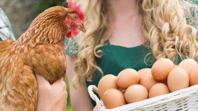 Минздрав: покупайте яйца только в лицензированных магазинах, птичий грипп опасен
