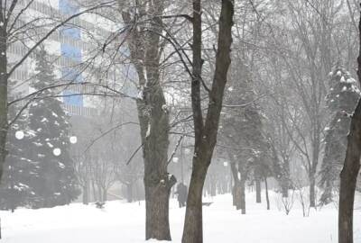 Украину скуют лютые морозы: синоптики ошарашили прогнозом погоды на 22 декабря