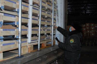 В Смоленской области задержали 80 тонн «санкционных» груш