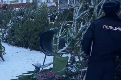 В Курске три незаконных торговца елками попались на крупные штрафы