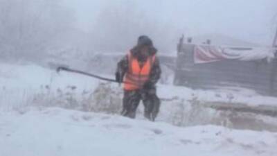 В России выгнали коммунальщиков косить траву в 50-градусный мороз (фото)