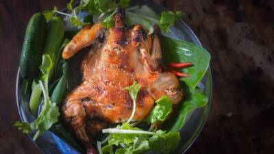 Диетолог Чедия объяснила различие мяса курицы