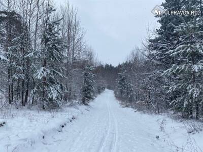 В Ульяновской области ожидаются холода и снег