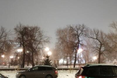 В Оренбурге отменили торжественное открытие главной елки города