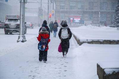 В Новосибирске потеплеет до +1 к концу рабочей недели