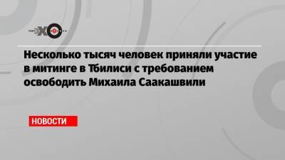 Несколько тысяч человек приняли участие в митинге в Тбилиси с требованием освободить Михаила Саакашвили