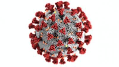 Названы основные симптомы «омикрон»-штамма коронавируса