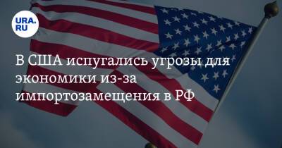 В США испугались угрозы для экономики из-за импортозамещения в РФ