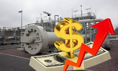 Скачок цен на газ на мировых рынках обернется снижением уровня жизни россиян