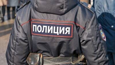 Путин подписал закон, расширяющий полномочия полицейских