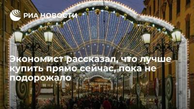 Экономист Ибрагимов призвал не покупать к Новому году технику и не запасаться продуктами