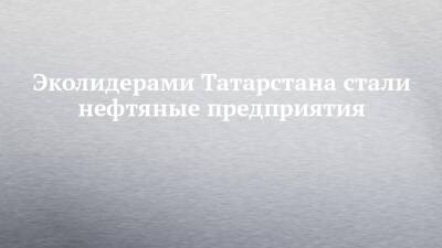 Эколидерами Татарстана стали нефтяные предприятия