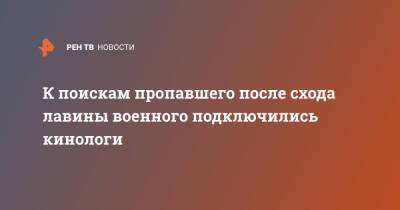 К поискам пропавшего после схода лавины военного подключились кинологи