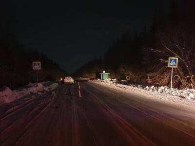 Водитель пострадал в столкновении с лосем на ночной дороге в Тверской области