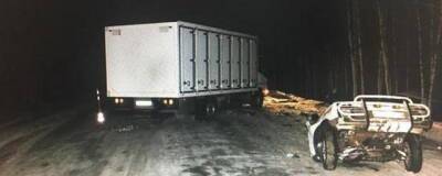 В Омской области на трассе в ДТП с грузовиком погибли два человека
