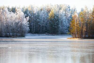 Воронежцев предупредили о смертельной опасности выхода на лед городского водохранилища