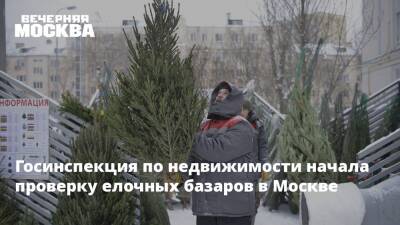 Госинспекция по недвижимости начала проверку елочных базаров в Москве