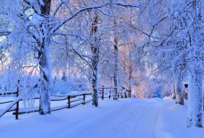 Украину на Новый год завалит снегом: синоптики изменили прогноз погоды на конец декабря