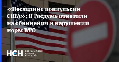 Владимир Гутенев - «Последние конвульсии США»: В Госдуме ответили на обвинения в нарушении норм ВТО - nsn.fm - Россия - США