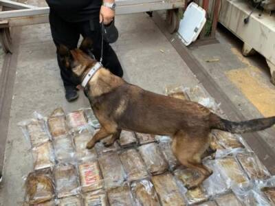 Одесская прокуратура завершила расследование о контрабанде 80 кг кокаина