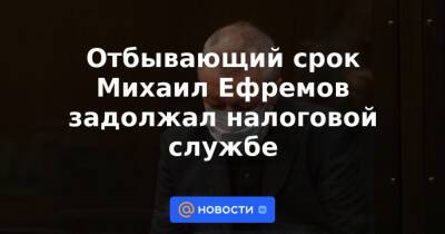 Отбывающий срок Михаил Ефремов задолжал налоговой службе