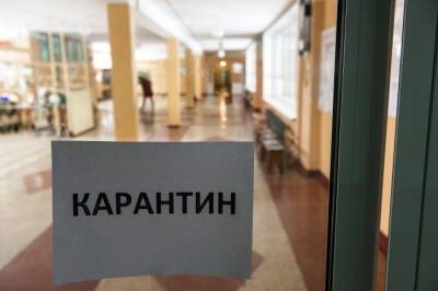 Сорок школ в Нижегородской области закрыты из-за ситуации с гриппом