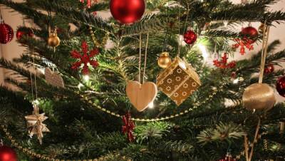 Как продлить жизнь живой новогодней елке: секреты, полезные советы и лайфхаки