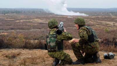 Политолог Межевич: Украина не дождется вооружения из Литвы