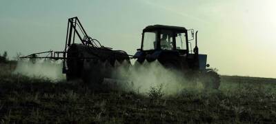 Сельхозпредприятия Карелии в 2021 году резко сократили производство