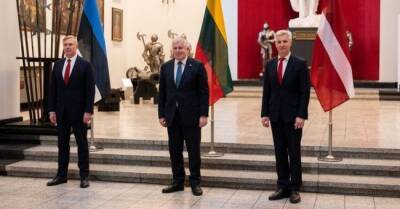 Три страны Европы готовы оказать военную помощь Украине, - минобороны Литвы