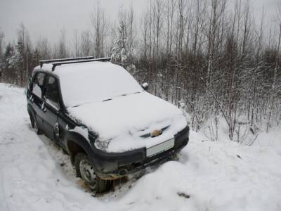 Полицейский спас заблудившегося охотника в лесу Семеновского района