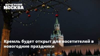 Кремль будет открыт для посетителей в новогодние праздники