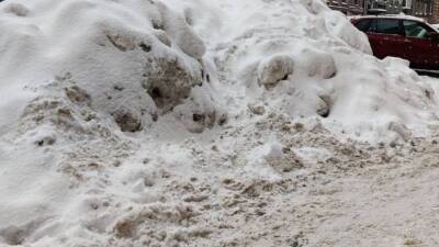 Гора грязного снега возле реки Пряжки вынудила петербуржцев обратиться в прокуратуру