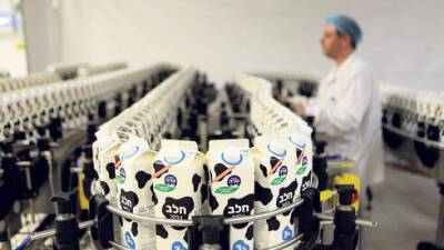 В Израиле повысят цены на молочные продукты: в чем причина