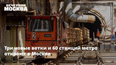 Три новые ветки и 60 станций метро откроют в Москве