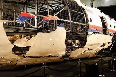 Прокуратура Нидерландов: виновные в крушении «Боинга» MH17 заслуживают пожизненного срока