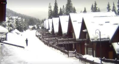 На радость лыжникам: Карпаты засыпало снегом, снежный покров достигает одного метра (ФОТО)