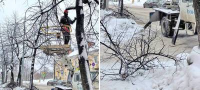 В Петрозаводске убирают сломанные снегопадом ветви деревьев