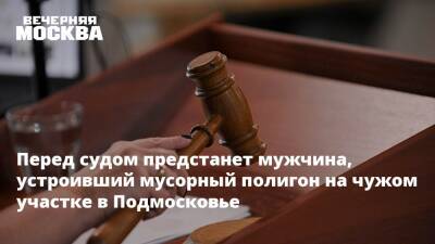 Перед судом предстанет мужчина, устроивший мусорный полигон на чужом участке в Подмосковье