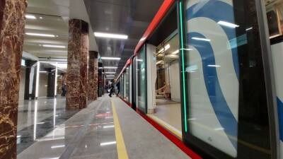 Власти Москвы рассчитывают открыть 50-60 станций метро и три новые ветки в ближайшие годы