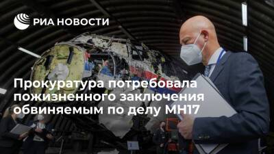 Анастасий Иванов - Прокуратура Нидерландов потребовала пожизненного лишения свободы обвиняемым по делу MH17 - ria.ru - Париж - Голландия