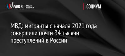 МВД: мигранты с начала 2021 года совершили почти 34 тысячи преступлений в России